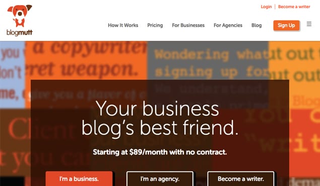 Blog Agency Example