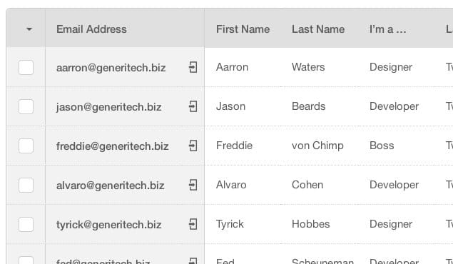 MailChimp Contacts List