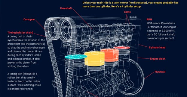 Animated Infographic