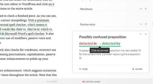 Grammarly Example 2