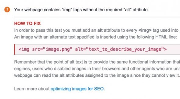 SEO Site Checkup Alt Text